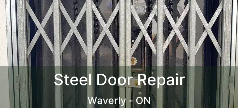  Steel Door Repair Waverly - ON