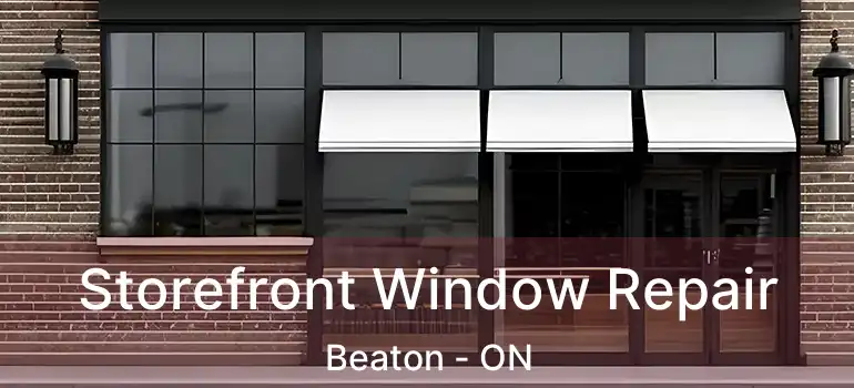  Storefront Window Repair Beaton - ON