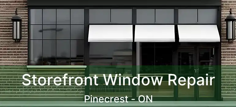  Storefront Window Repair Pinecrest - ON