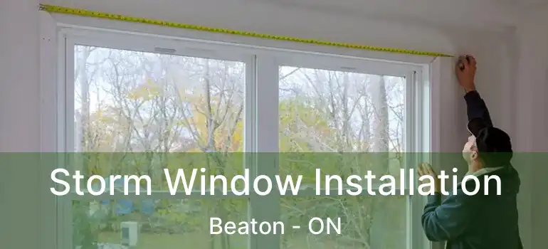  Storm Window Installation Beaton - ON