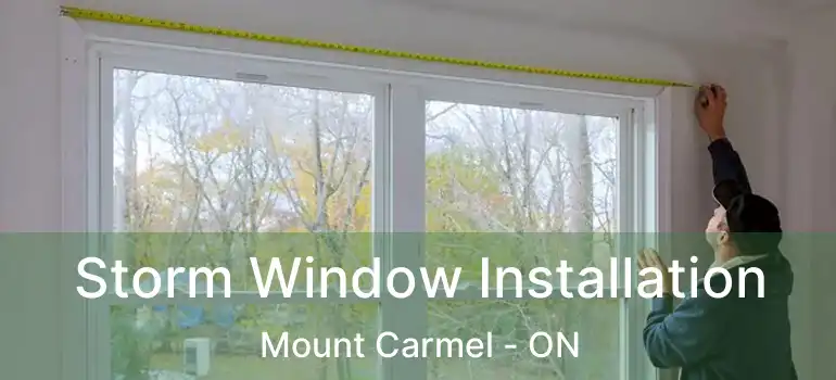  Storm Window Installation Mount Carmel - ON