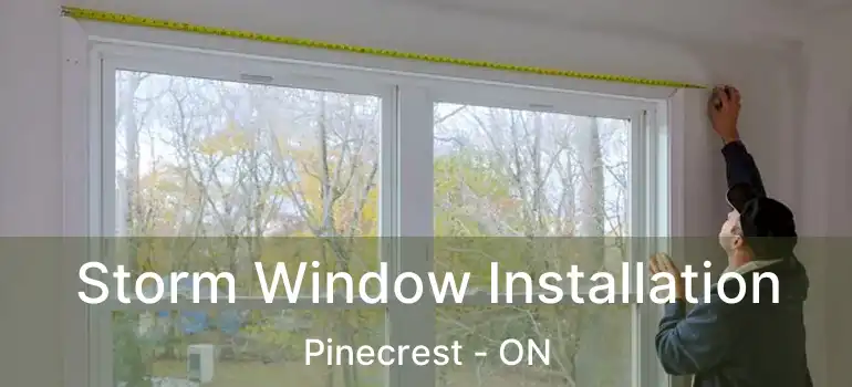  Storm Window Installation Pinecrest - ON