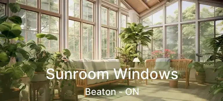  Sunroom Windows Beaton - ON