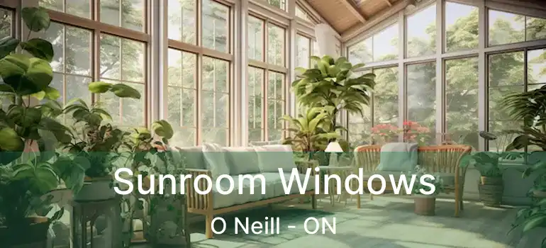  Sunroom Windows O Neill - ON