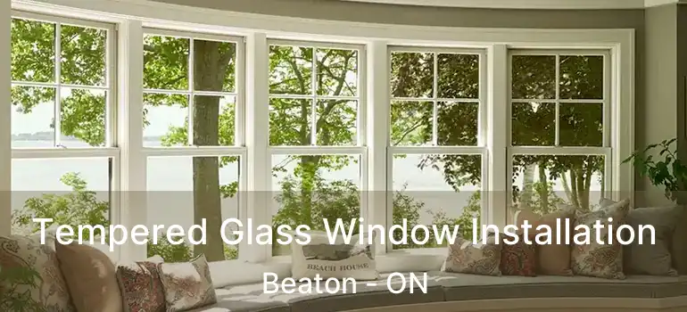  Tempered Glass Window Installation Beaton - ON