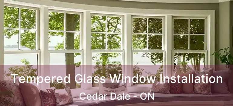  Tempered Glass Window Installation Cedar Dale - ON