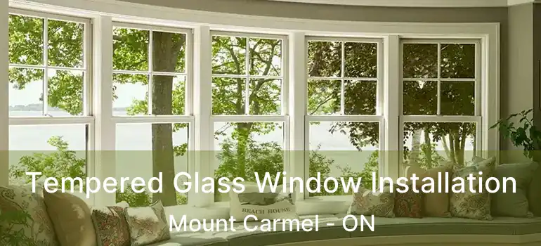  Tempered Glass Window Installation Mount Carmel - ON