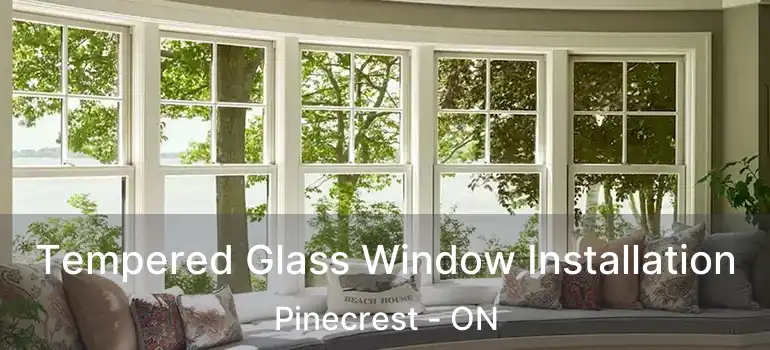  Tempered Glass Window Installation Pinecrest - ON