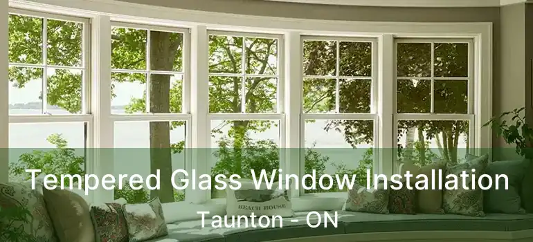  Tempered Glass Window Installation Taunton - ON