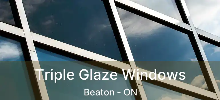  Triple Glaze Windows Beaton - ON