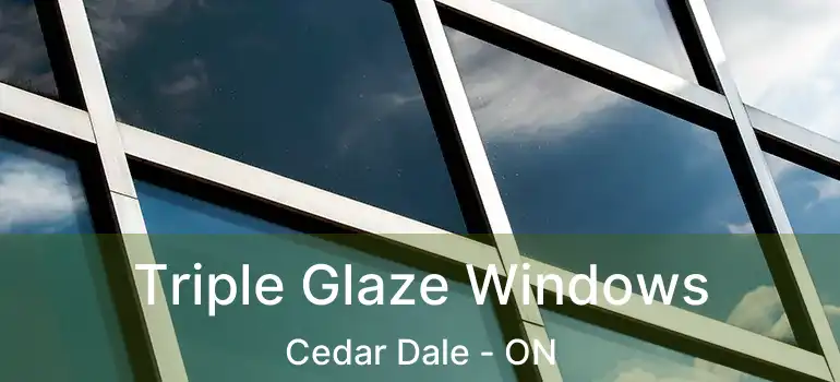  Triple Glaze Windows Cedar Dale - ON