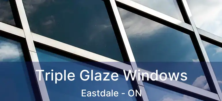  Triple Glaze Windows Eastdale - ON