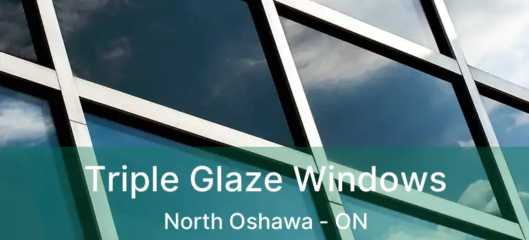  Triple Glaze Windows North Oshawa - ON