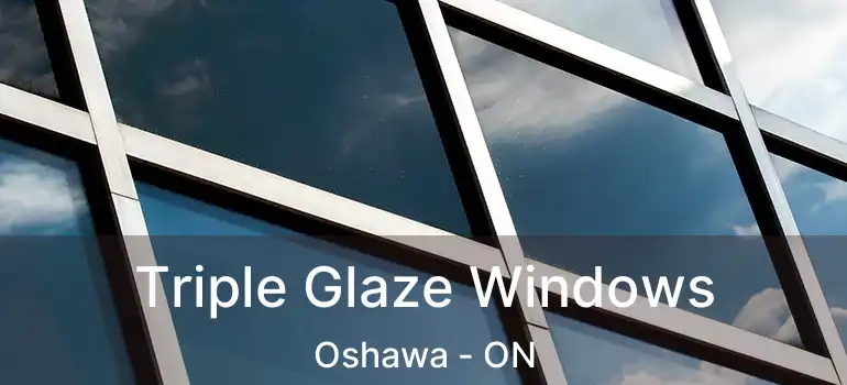  Triple Glaze Windows Oshawa - ON