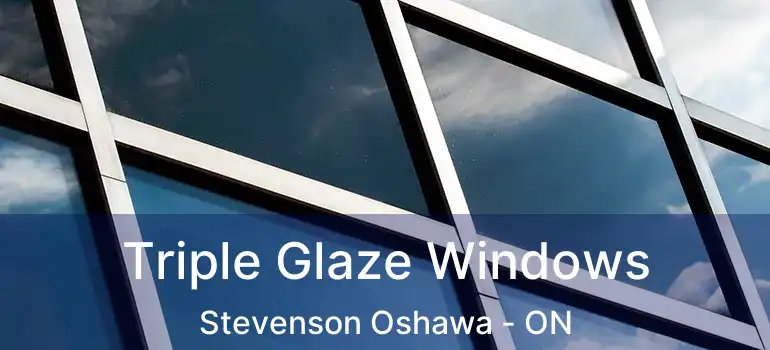  Triple Glaze Windows Stevenson Oshawa - ON