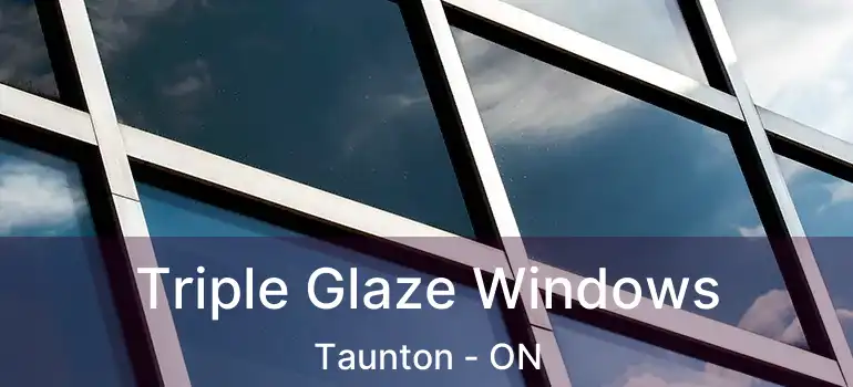  Triple Glaze Windows Taunton - ON