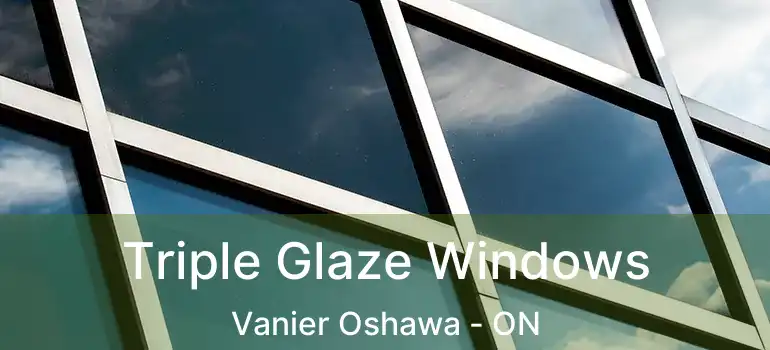  Triple Glaze Windows Vanier Oshawa - ON