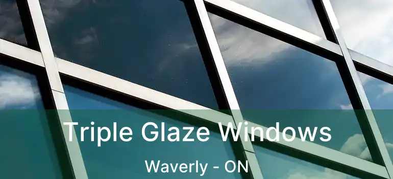  Triple Glaze Windows Waverly - ON