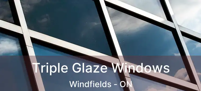  Triple Glaze Windows Windfields - ON