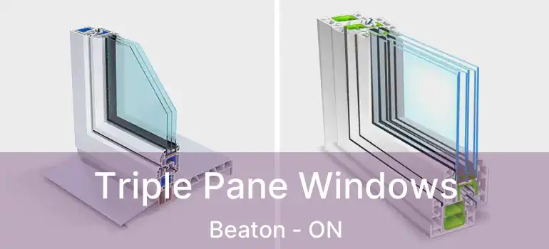  Triple Pane Windows Beaton - ON