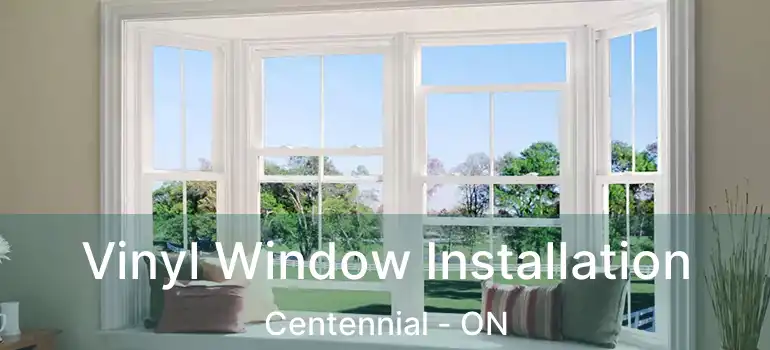  Vinyl Window Installation Centennial - ON