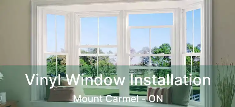  Vinyl Window Installation Mount Carmel - ON