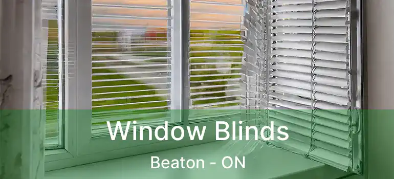  Window Blinds Beaton - ON