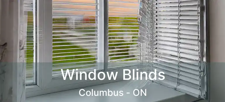  Window Blinds Columbus - ON