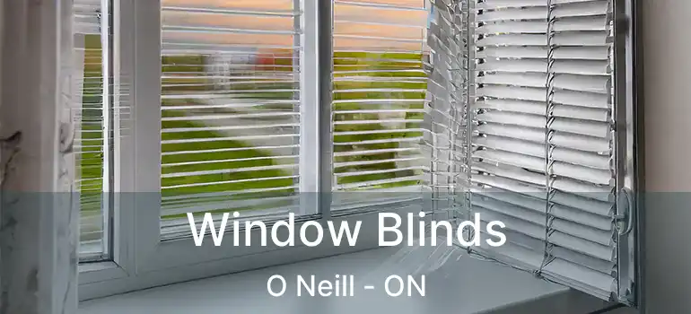  Window Blinds O Neill - ON