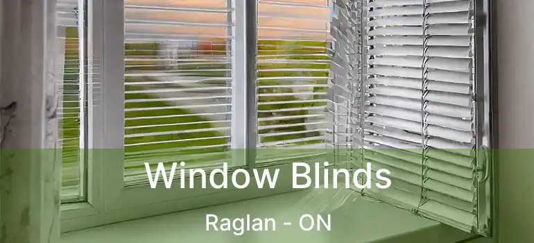  Window Blinds Raglan - ON