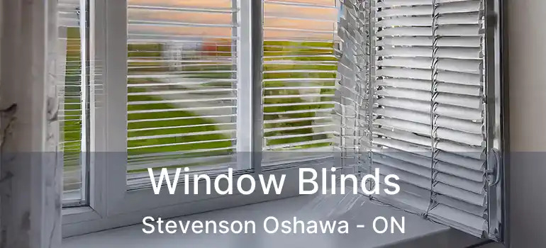  Window Blinds Stevenson Oshawa - ON