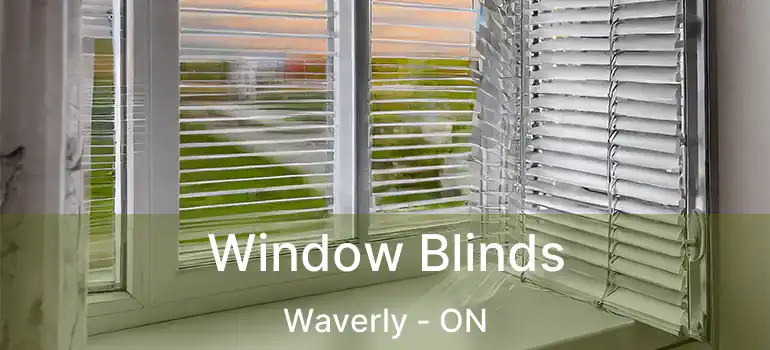  Window Blinds Waverly - ON