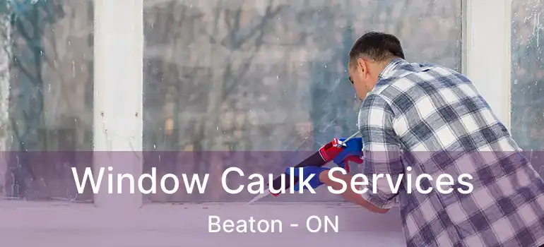  Window Caulk Services Beaton - ON