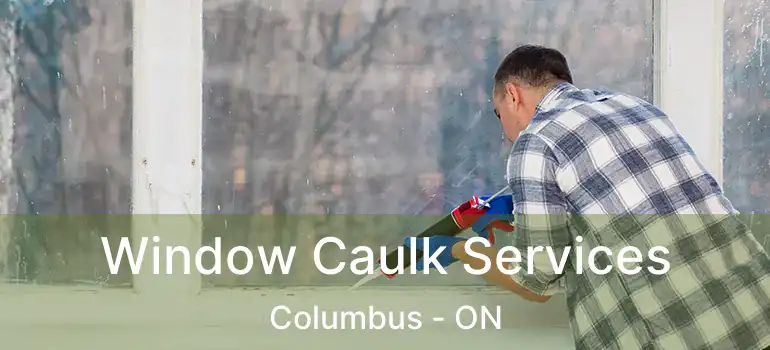  Window Caulk Services Columbus - ON