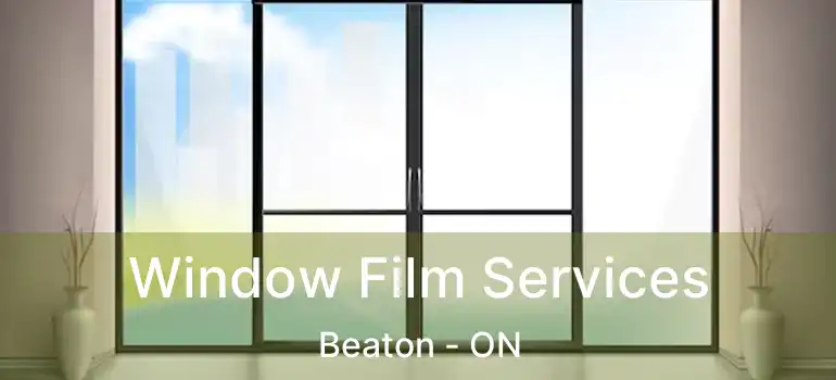  Window Film Services Beaton - ON