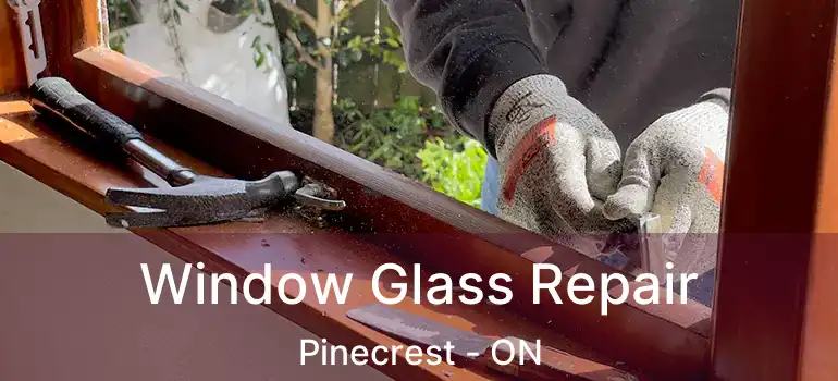  Window Glass Repair Pinecrest - ON