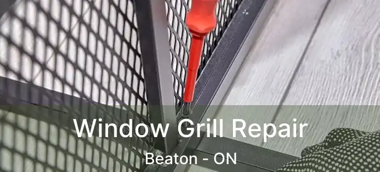  Window Grill Repair Beaton - ON