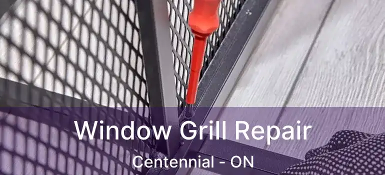  Window Grill Repair Centennial - ON