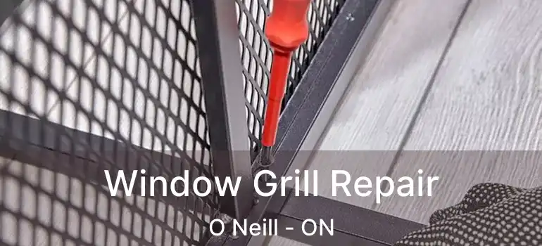  Window Grill Repair O Neill - ON