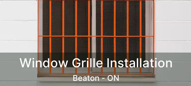  Window Grille Installation Beaton - ON