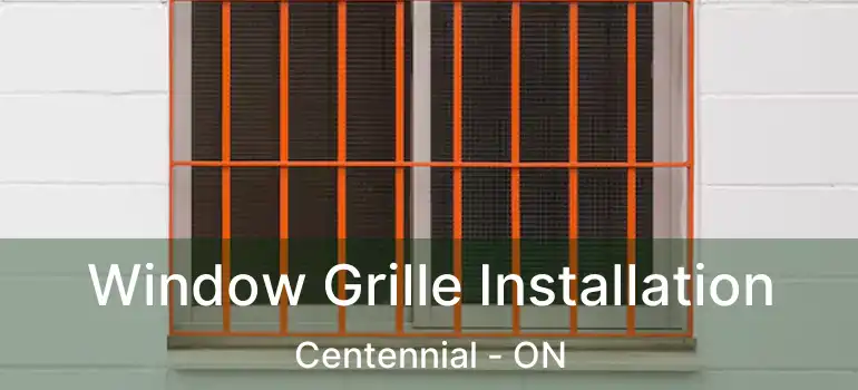  Window Grille Installation Centennial - ON