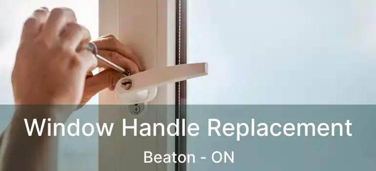  Window Handle Replacement Beaton - ON