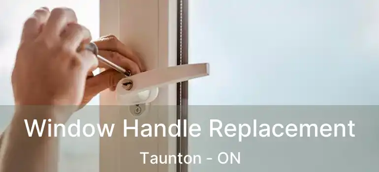  Window Handle Replacement Taunton - ON