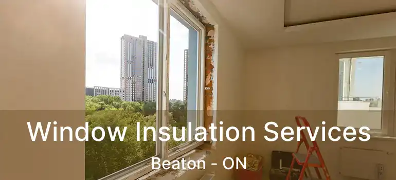  Window Insulation Services Beaton - ON