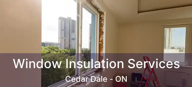  Window Insulation Services Cedar Dale - ON