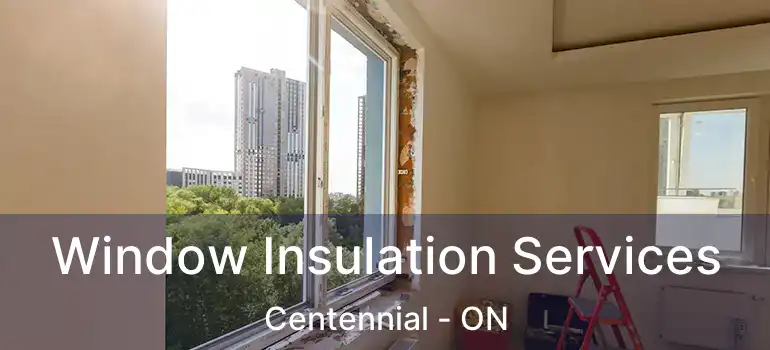  Window Insulation Services Centennial - ON