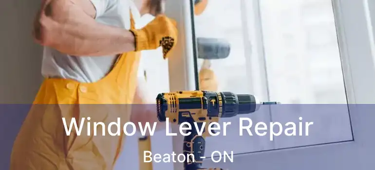  Window Lever Repair Beaton - ON