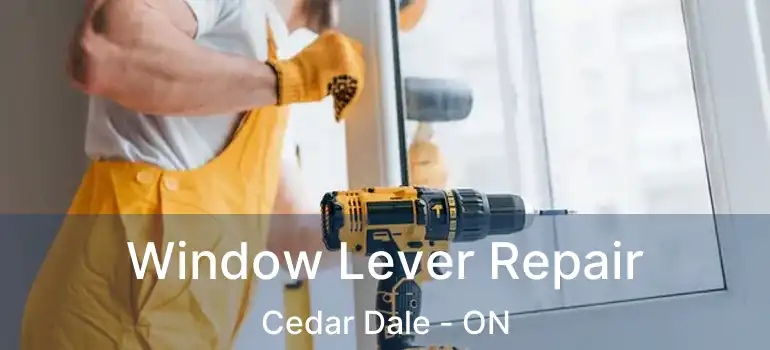  Window Lever Repair Cedar Dale - ON