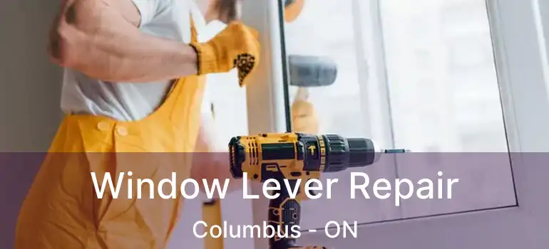  Window Lever Repair Columbus - ON