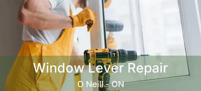  Window Lever Repair O Neill - ON